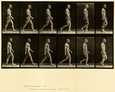 5 - Vol 1 - Plate 6 5 - Vol 1 - Plate 6