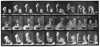 Muybridge lived and worked in a time of rapid technological change. When these photos were taken indoor plumbing was beginning to be introduced but was still a luxury item.