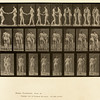 We believe Muybridge's Plate 444 was the first time that a kiss was documented over time through photography and that this represents the first kiss ever filmed.  We made our first kiss film loop from the top row of eight images.